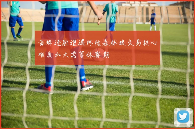 黄蜂连胜遭遇终结森林狼交易核心难度加大需等休赛期
